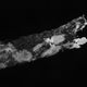 El patron de rayas. Imagen: Journal of Forensic Sciences